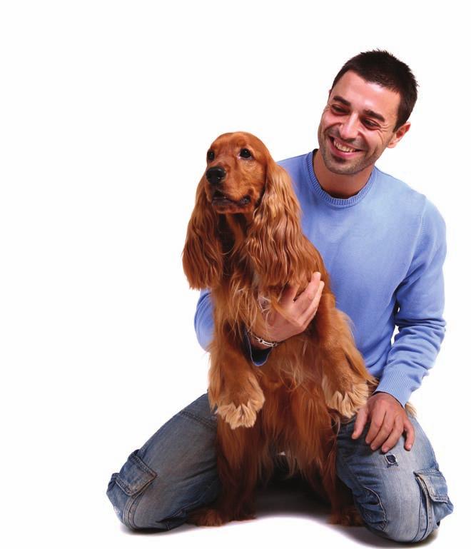 Focus on ownership 1 Understanding Ideal scenario The Animal Welfare Act puts a duty of care onto owners to meet five key needs to ensure their pets health and happiness.