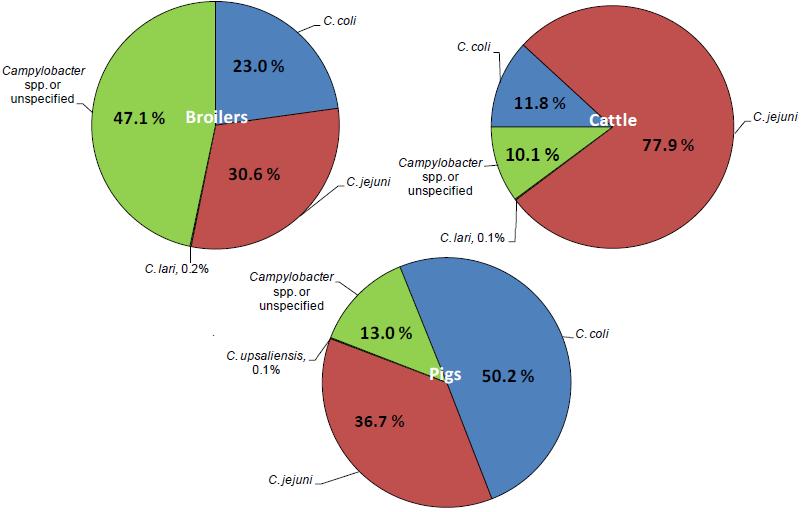 Species distribution of positive samples isolated from broilers, cattle and pigs, 2008 Data from 16 MSs + 2 non-ms, N=14,192 Data from