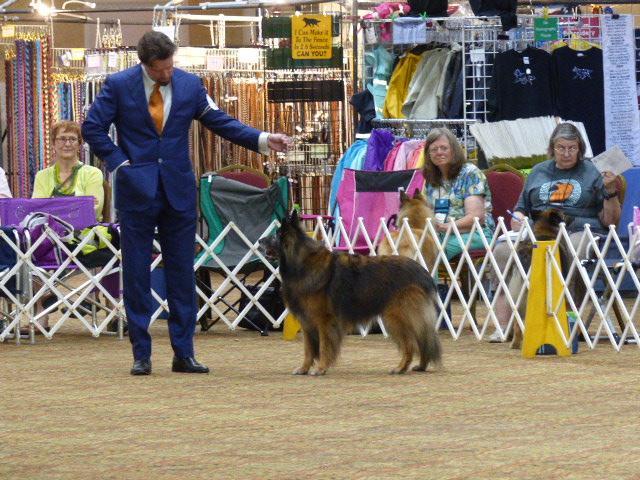 A Publication of the Lone Star Belgian Tervuren Club