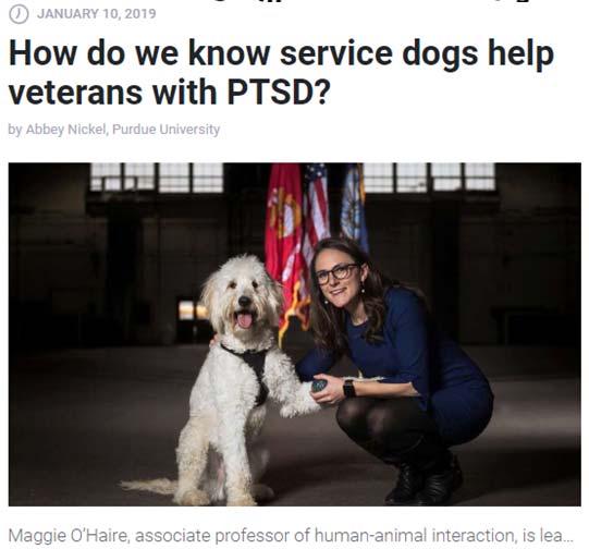 The clinical trial consists of studying veterans with and without service dogs over an extended period of time.