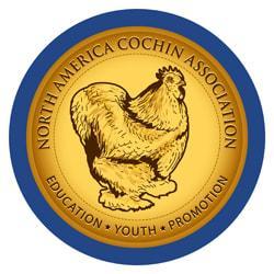 State Meet State Meet to include an Egg Show https://maranschickenclubusa.com/ Special Meet https://www.northamericacochinassociation.