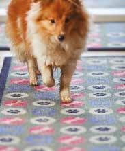 protect clean floors from