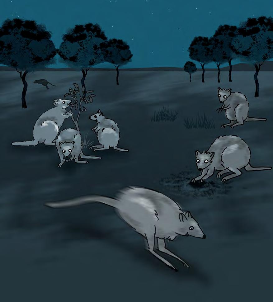 Over time, their sense of smell sharpened to help them find food in the dark.