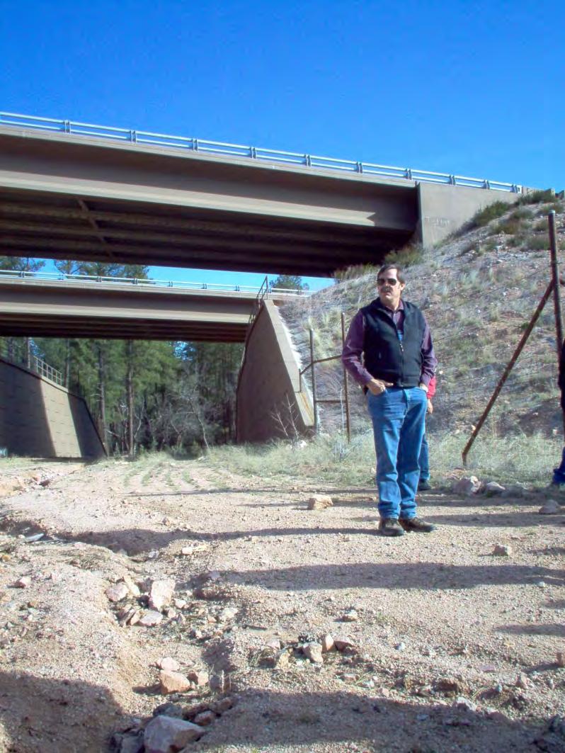 Based on Science Adaptive Management was used in Arizona along SR 260 outside of Payson Different elk crossing designs resulted in