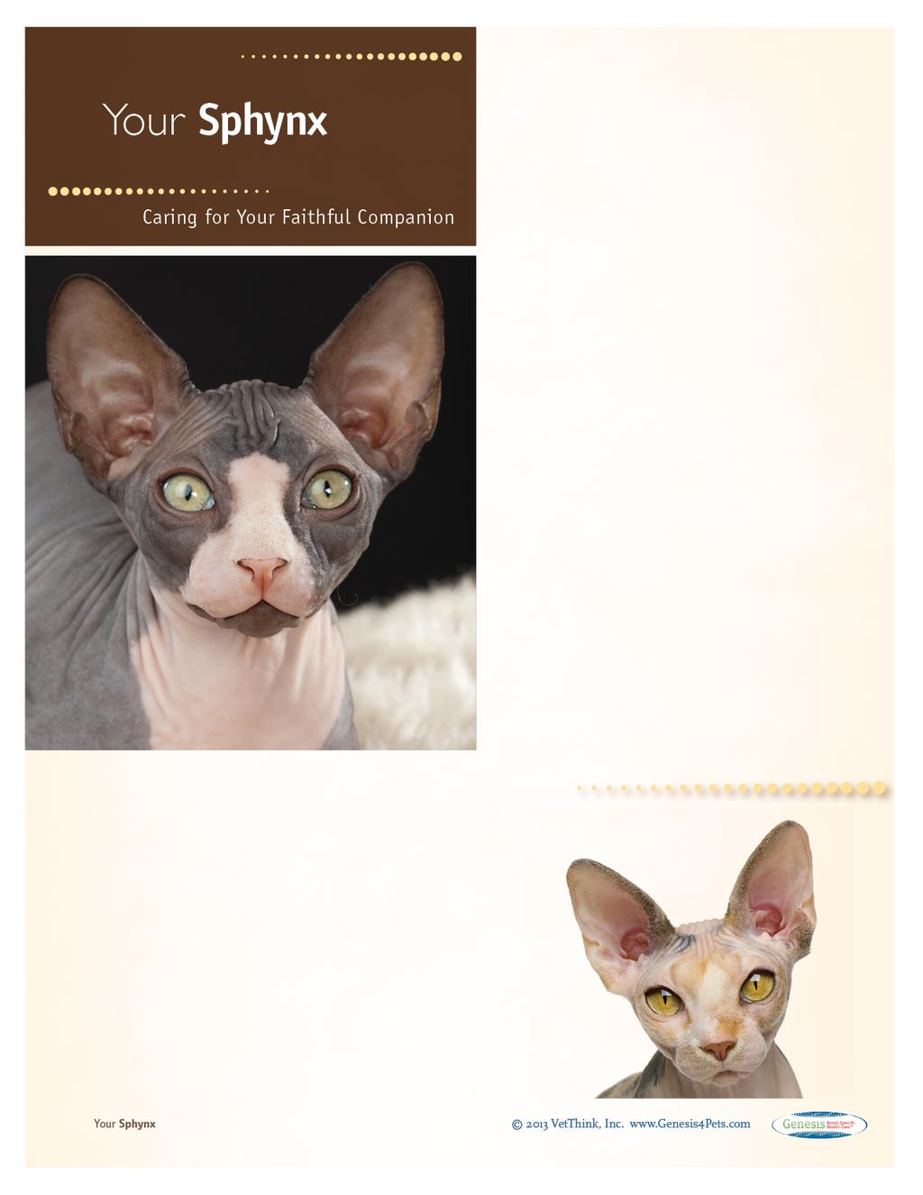 Sphynxes: What a Unique Breed! Your cat is special! She senses your moods, is curious about your day, and has purred her way into your heart.
