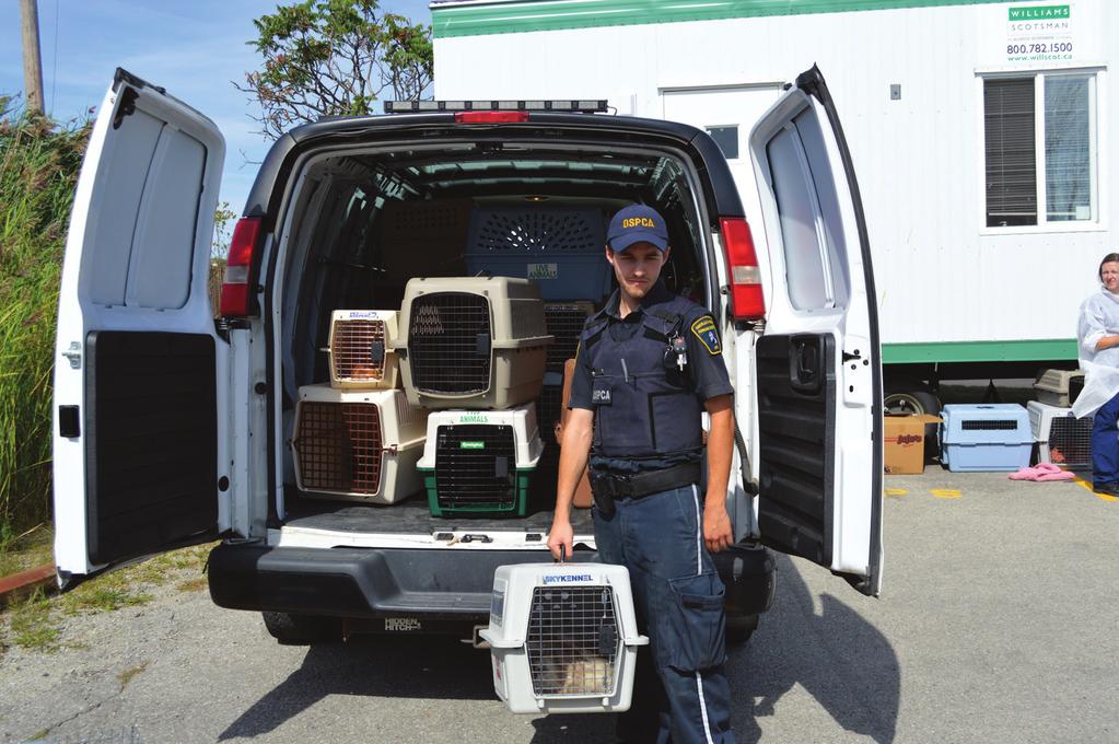 the shelter with the first of over a hundred cats. This call signalled the beginning of a journey for the 110 cats that were removed from the home in Halton Hills, from horrible neglect to health.