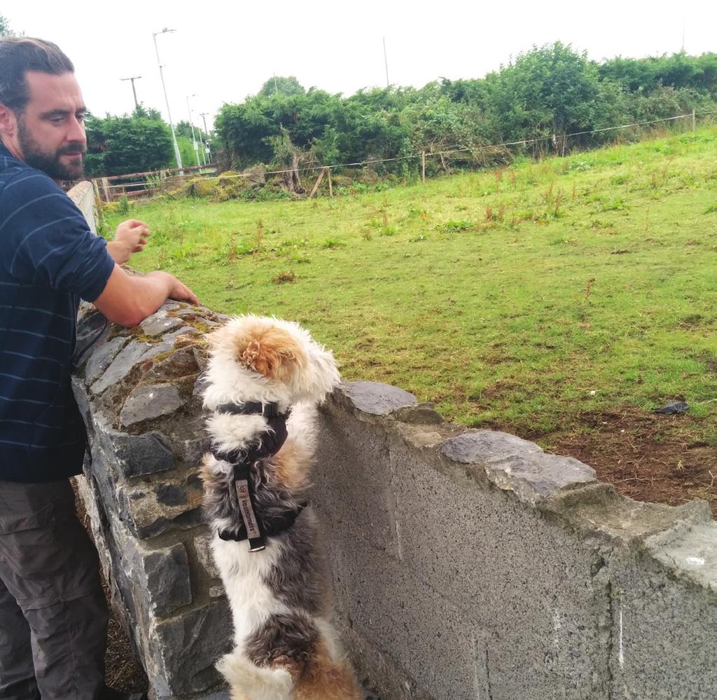 Most recently we heard from Mark and Caroline and are happy to report that Tippy is now a world traveler with a new home with her family in Ireland.