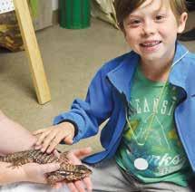 Roy is an Argentine Red Tegu, which is one of the largest species of Tegu lizard.