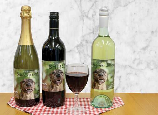 DRINK WINE, SAVE ANIMALS! Did you know that you can help animals in need next time you enjoy a tipple or two?