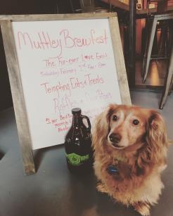 V O L U M E I I I, I S S U E I P A G E 5 Muttley Brewfest ~ Furever Love Event, II Presley can t wait to get his paws on MB prizes It s almost time for our next Muttley Brewfest hosted by our friends
