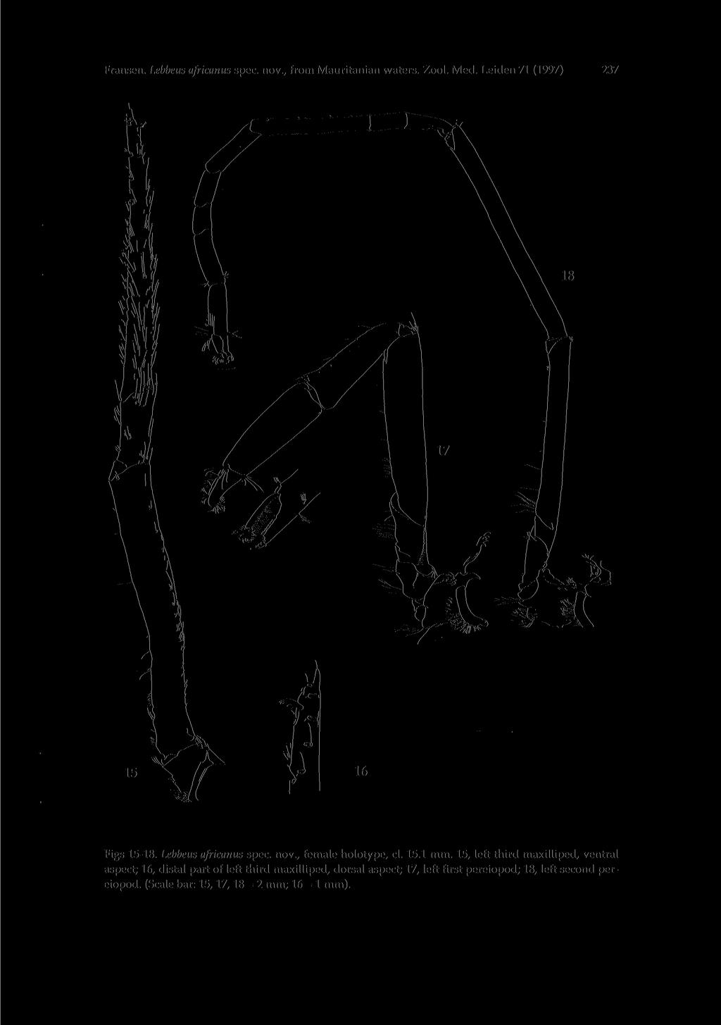 237 Fransen. Lebbeus africanus spec, nov., from Mauritanian waters. Zool. Med. Leiden 71 (1997) Figs 15-18. Lebbeus africanus spec, nov., female holotype, cl. 15.1 mm.