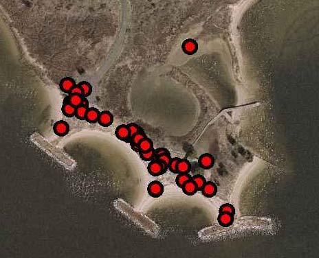Terrapin Monitoring - 21 predation will facilitate continued terrapin nesting success on Poplar Island. Researchers also recommend the continuation of terrapin nesting monitoring on Poplar Island.