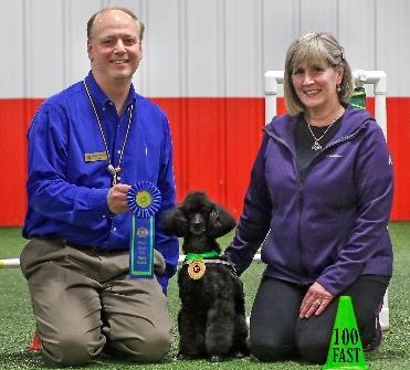 COMPETITION RESULTS Names Location/Date Score/place/leg TITLE Sutton/Sir Duncan AKC Obedience 3/23/19 Companion Utility B 198.