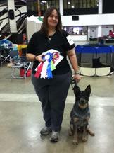 July Brags Miami Obedience Club s Newest Additions At the Jupiter-Tequesta Dog Club shows Damon earned his BN title with a second and third