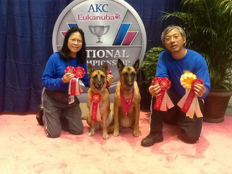 DECEMBER BRAGS And Birthday Wishes to Sylvia Arango and Laurie Zisman Liu s Family at the 2012 AKC Agility Invitational in Orlando Look at all those dark pink ribbons each one represents a qualifying