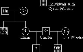 Cystic Fiborsis is a lethal recessive condition (a person with CF cannot have children). What is the probability that Charles and Elaine will have a baby with cystic fibrosis?