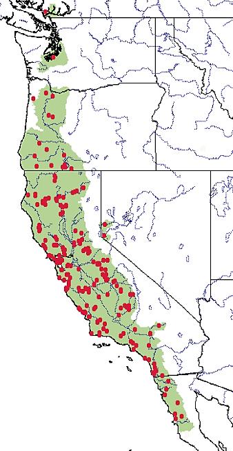 Figure 2: Distribution of the western pond turtle in North America.