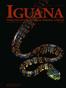 IGUANA VOLUME 13, NUMBER 4 DECEMBER International Reptile Conservation Foundation