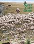 SHEEP CARE GUIDE. Author/Editor, 2005 Edition Dr. William P. Shulaw, The Ohio State University