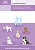Choosing and bringing home the right dog for you