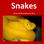 Snakes. Written and Illustrated by Yow Ming