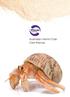 Australian Hermit Crab Care Manual
