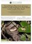 Natural History Observations of Amazon Treeboas (Corallus hortulanus) on Three Islands in the Parnaíba Delta, Brazil