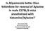 Is Atipamezole better than Yohimbine for reversal of Xylazine in male C57BL/6 mice anesthetized with Ketamine/Xylazine?