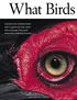 What Birds. Evolution has endowed birds with a system of color vision that surpasses that of all mammals, including humans