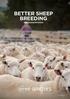 BETTER SHEEP BREEDING Ram buying decisions