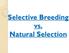 Selective Breeding vs. Natural Selection