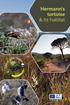 Hermann s tortoise & its habitat