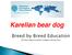 Karelian bear dog. (FCI Show Judges Commission, Cartagena, February 2013)