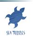 SEA TURTLE CHARACTERISTICS