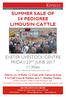 SUMMER SALE OF 54 PEDIGREE LIMOUSIN CATTLE