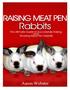 Raising Meat Pen Rabbits