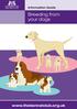Breeding from your dogs