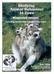Contents. Page 1. Introduction Why choose the ringtailed lemur? Background information on ringtailed lemurs. 5