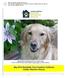 May 2012 Newsletter From Southern California Golden Retriever Rescue