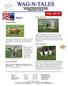 The Newsletter of Youngstown All Breed Training Club Mahoning Ave. P.O. Box 397 North Jackson, Oh