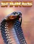 Contents (clickable) 1. Introduction Why Rescue Snakes? Myths Cape Town s Venomous Five Snake Bite!...