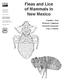 Fleas and Lice of Mammals in New Mexico