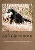 Lab Lines Yearbook of the Labrador Retriever Kennel Club, South Africa