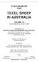TEXEL SHEEP IN AUSTRALIA