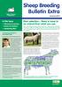 Sheep Breeding Bulletin Extra