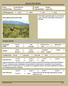 Species Fact Sheets. Order: Struthioniformes Family: Rheidae Scientific Name: Rhea pennata Common Name: Lesser Rhea