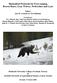 Biomedical Protocols for Free-ranging Brown Bears, Gray Wolves, Wolverines and Lynx
