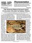 Volume 20, Issue No. 3 AUGUST The Mexican Plateau Horned Lizard Phrynosoma orbiculare in Sonora, Mexico