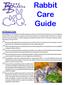 Rabbit Care Guide INTRODUCTION