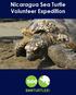 Nicaragua Sea Turtle Volunteer Expedition